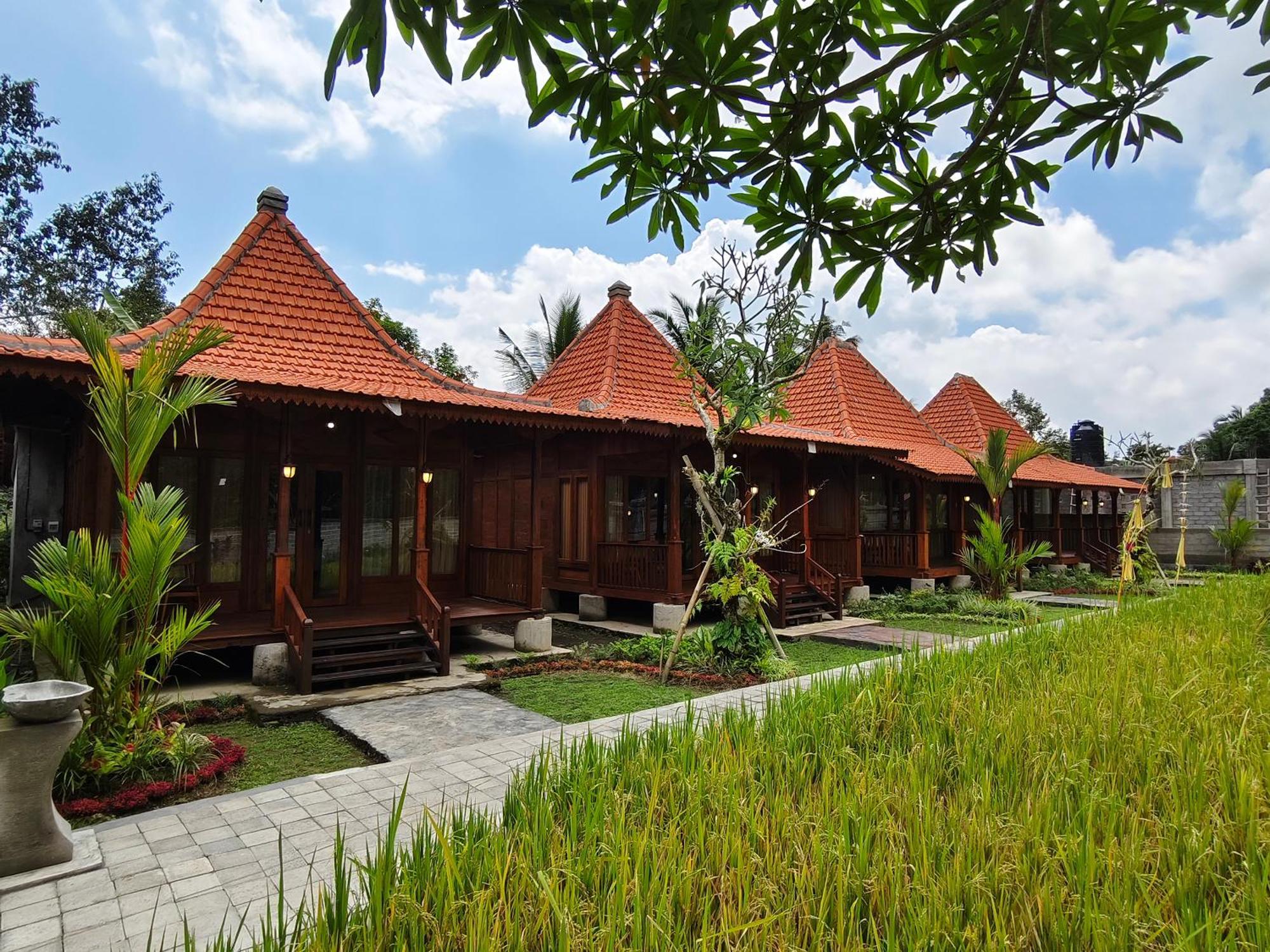 Uma Ulun Dugul By Uniquecations Affittacamere *