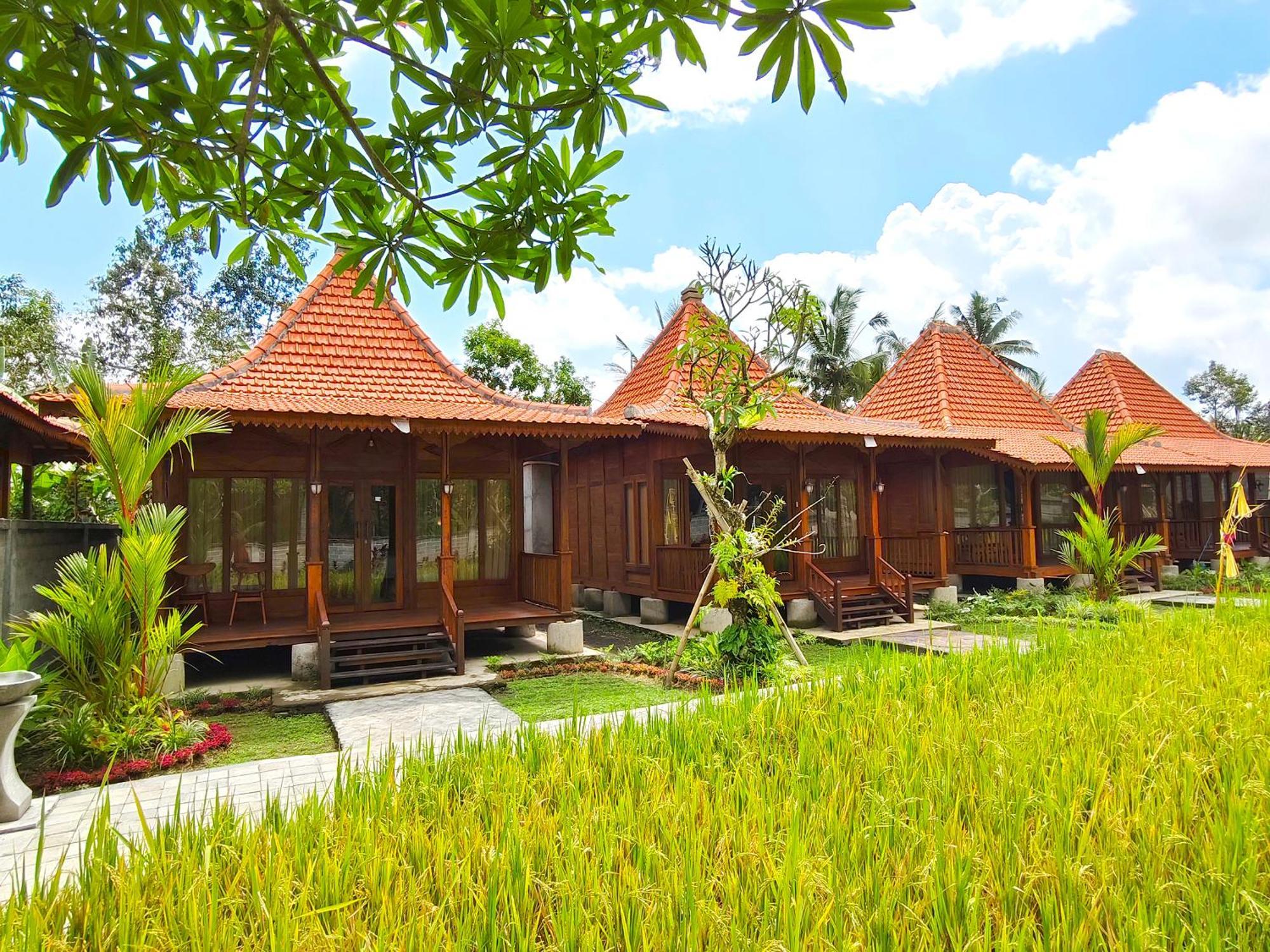 Gasthuis Uma Ulun Dugul By Uniquecations
