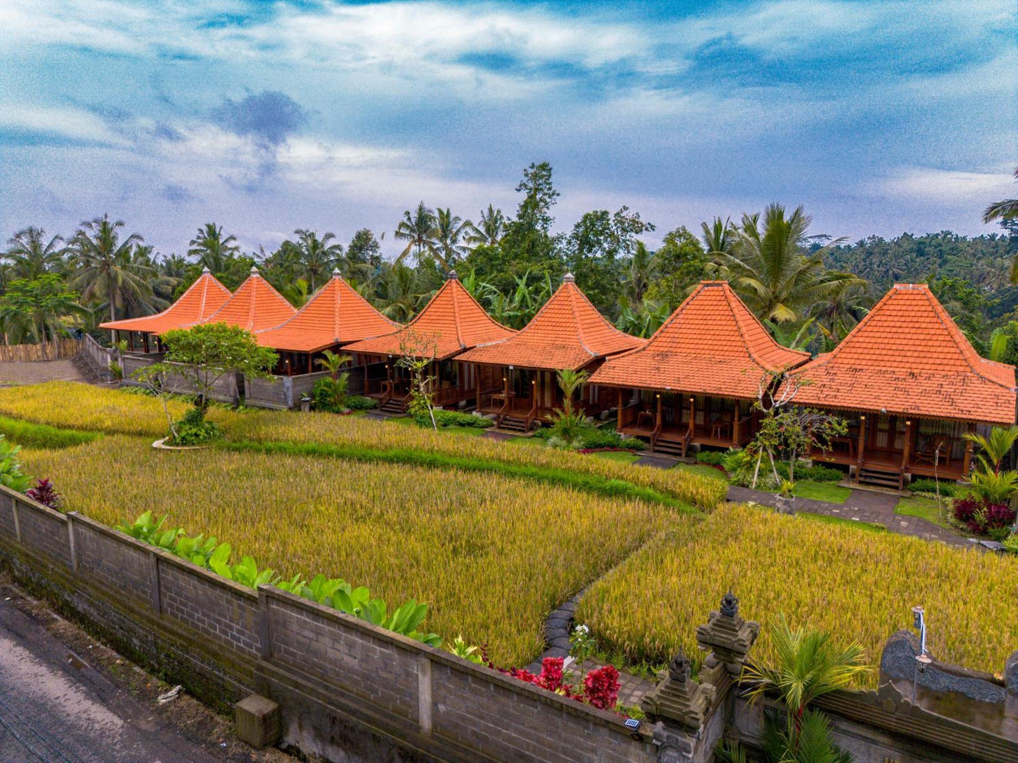 Uma Ulun Dugul By Uniquecations